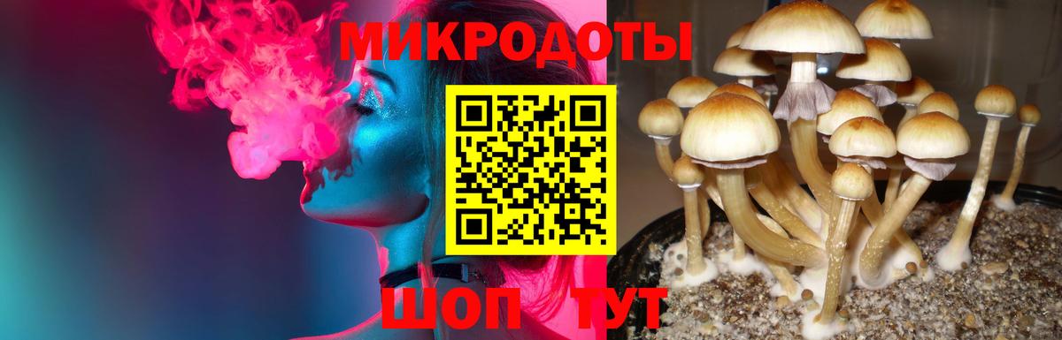 Галлюциногенные грибы Magic Shrooms  Вход с VPN  Урюпинск  наркотики  Галлюциногенные грибы MAGIC MUSHROOMS 